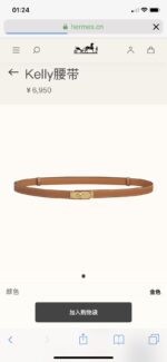 Hermes Belt-1.8CM - Image 9