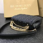 Burberry Lola Chain Bag-23*13*6CM - Image 4