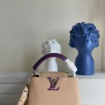 Louis Vuitton Mini Capucines Handlebag-21*14*8CM