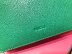 Gucci Dionysus Bag-20*14*4CM - Image 5