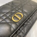 Diro 2021 Caro Bag-20*3*11CM - Image 9