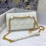 Diro 2021 Caro Bag-20*3*11CM - Image 6