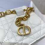 Diro 2021 Caro Bag-20*3*11CM - Image 7