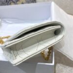 Diro 2021 Caro Bag-20*3*11CM - Image 8