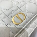 Diro 2021 Caro Bag-20*3*11CM - Image 9