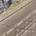 Diro 2021 Medium Caro Bag-25.5*15*8CM - Image 2