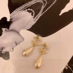 Ch@nel 2021ss Earring - Image 5