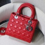 Lady Diro Handle Bag With Silver Hardware-24CM
