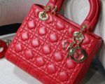 Lady Diro Handle Bag With Gold Hardware-24CM - Image 9