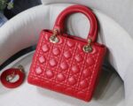 Lady Diro Handle Bag With Gold Hardware-24CM - Image 8