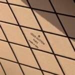 Louis Vuitton Petite Malle-20*5*12.5CM - Image 6