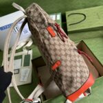 he North Face x Gucc Backpack-33*49*13CM - Image 4