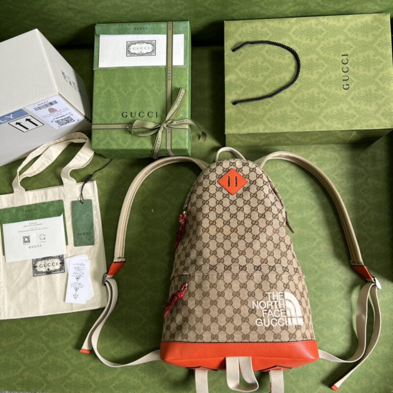 he North Face x Gucc Backpack-33*49*13CM - Image 5