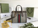 Gucci Ophidia Bag-25*19*9.5CM