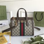 Gucci Ophidia Bag-25*19*9.5CM