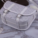 Goyard Crossbody Bag-25x10x18CM - Image 9