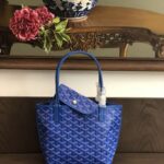 Goyard Anjou Mini Handbags-30CM