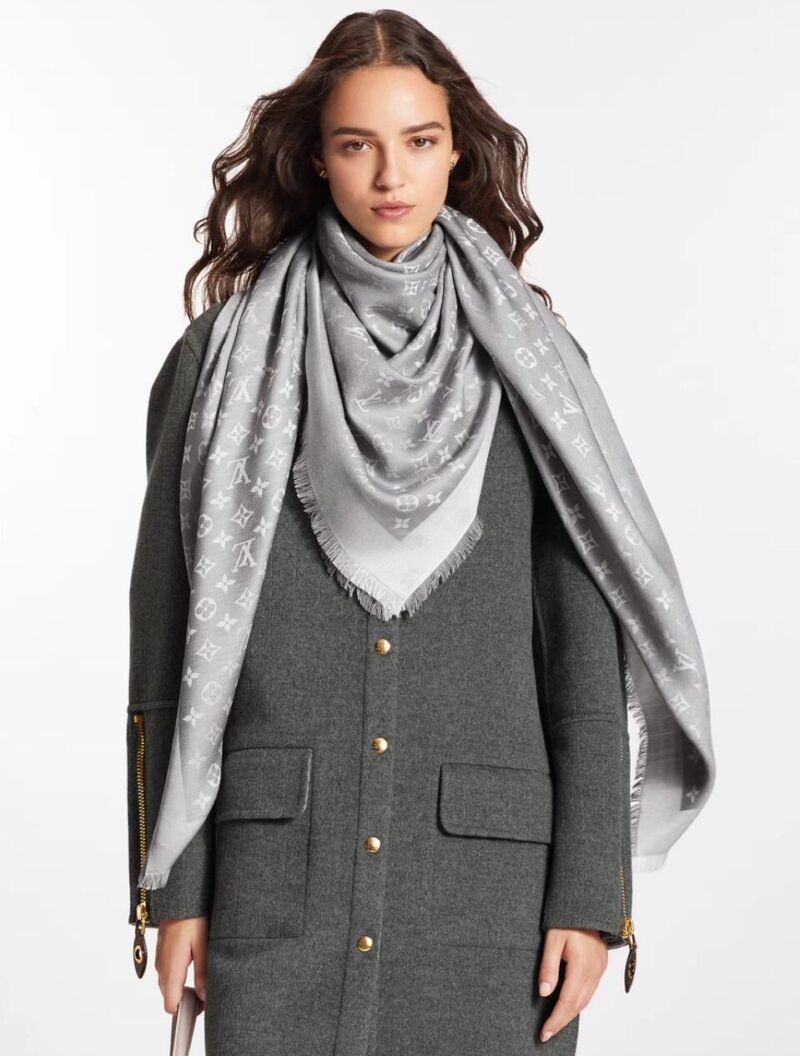 Louis Vuitton Scarf - Image 4