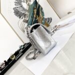 Ch@nel Flap Bag-20CM - Image 2