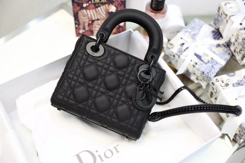 Lady Diro Bag-17CM - Image 6