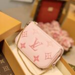 Louis Vuitton Mini Pochette Accessoires-15*9.5*3CM