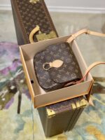 Louis Vuitton Vintage Saint Cloud Handbags -M51245-19 × 6 × 17CM