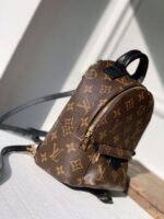 Louis Vuitton Palm Springs Mini My LV World Tour-22/15/9CM - Image 8