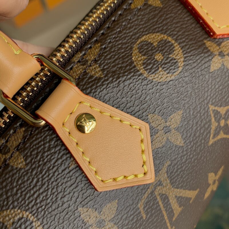 Louis Vuitton Nano Speedy-16CM - Image 4