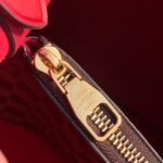 Louis Vuitton NéoNoé Bucket Bag -26X22X27CM - Image 9