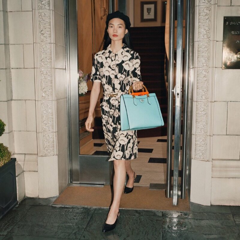 Gucci Diana Top HandBags - Image 9