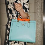 Gucci Diana Top HandBags - Image 10