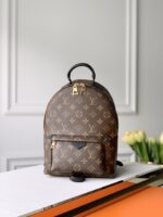 Louis Vuitton Backpack-M44871-22*19*10CM