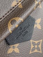 Louis Vuitton Backpack-M44871-22*19*10CM - Image 3