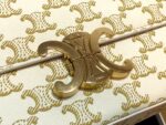 Celin Triomphe Shoulder Bag 2021S-20*10*4CM - Image 9