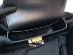 Celin Triomphe Shoulder Bag 2021S-20*10*4CM - Image 5