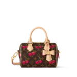 Louis vuitton LV x TM Speedy Bandoulière 20 (13.5 x 12 x 20.5)